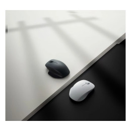 Мышка Xiaomi Wireless Mouse Comfort Edition White (BHR9354GL)