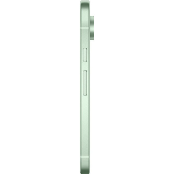 Смартфон Google Pixel 9 12/256GB Wintergreen USA