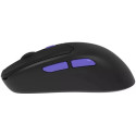 Мышка Proove Gaming Everon Black (WMEV00022001)