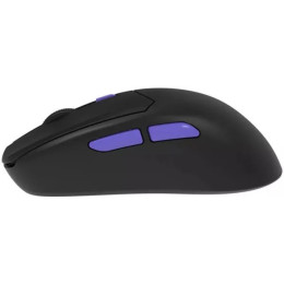 Мишка Proove Gaming Everon Black (WMEV00022001)