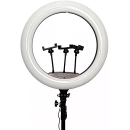Лампа Кільцева LED 45 cm 18" 256 Lights Touch Switch Adapter LJJ-45