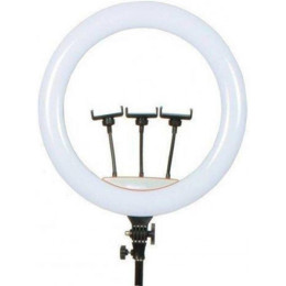 Лампа Кільцева LED 45 cm 18" 256 Lights Touch Switch Adapter LJJ-45