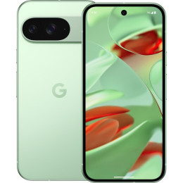 Смартфон Google Pixel 9 12/128GB Wintergreen USA
