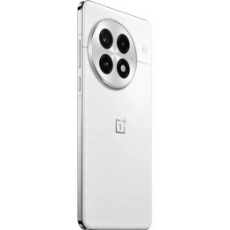 Смартфон OnePlus 13 24/1TB Arctic Dawn (PJZ110)