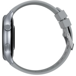 Смарт-годинник Proove Quantum Silver (SWQU00000006)
