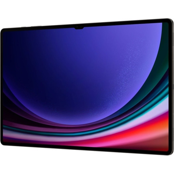 Планшет Samsung Galaxy Tab S9 Ultra X910 Wi-Fi 12/256GB Graphite EU